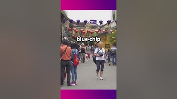 VN-Index Sập: Kịch Cũ Lặp Lại? Đỉnh Hay Rũ Bỏ? Bí Mật 3 Lần Sập Trong 2 Tháng!