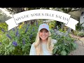 Plant Profile Mystic Spires Blue Salvia My All Time Favorite Perennial Plant Profile Mystic Spires Blue Salvia My All Time Favorite Perennial