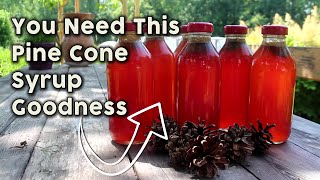 Pine Cone Syrup   Delicious and Healthy  How to Make