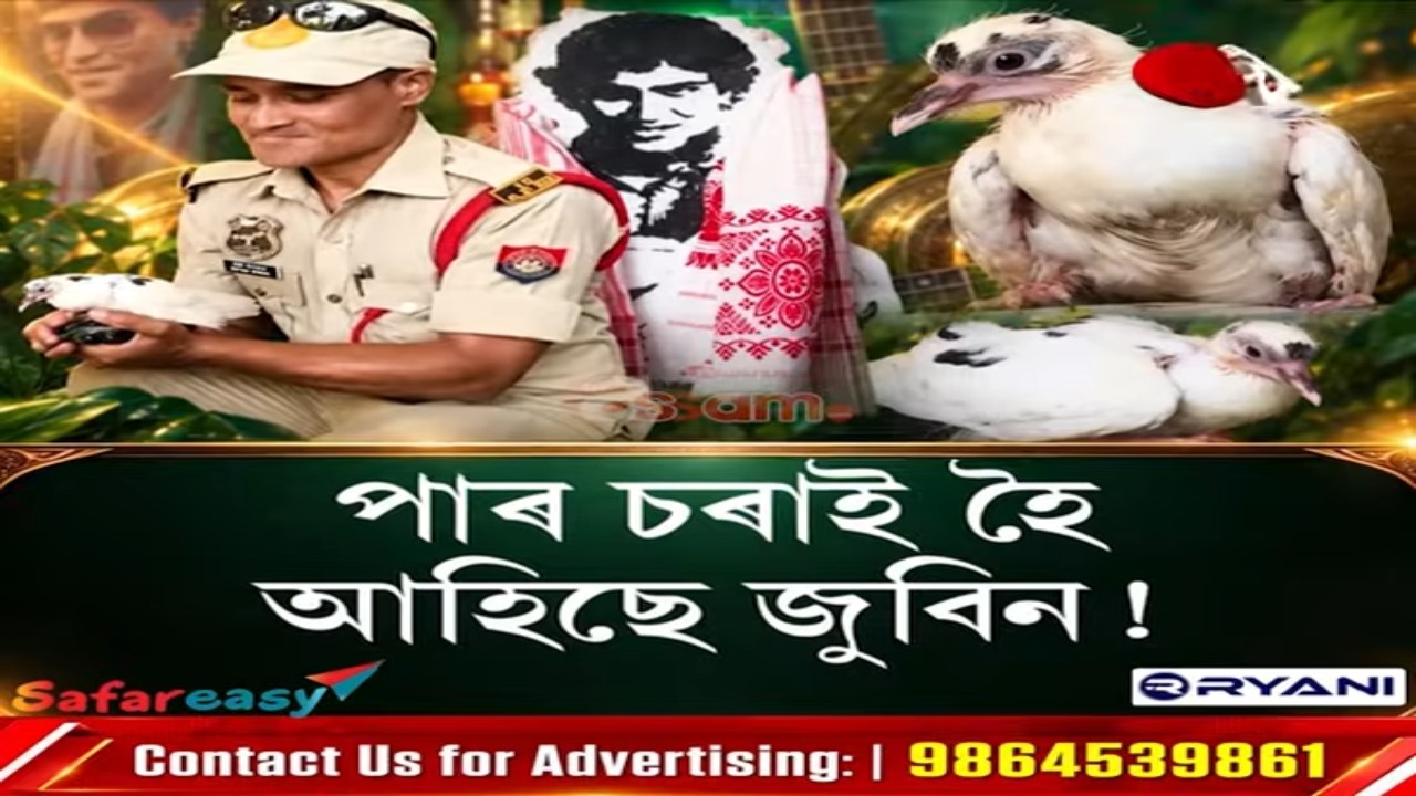 পাৰ চৰাই হৈ আহিছে জুবিন!জুবিনক্ষেত্ৰত কিনো চলিছে চাইছেহি জুবিনে..হঠাৎ দেখা গ’ল এটি পাৰ চৰাই
