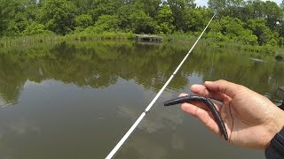 How To Fish a Senko for Bass by 1Rod1ReelFishing 