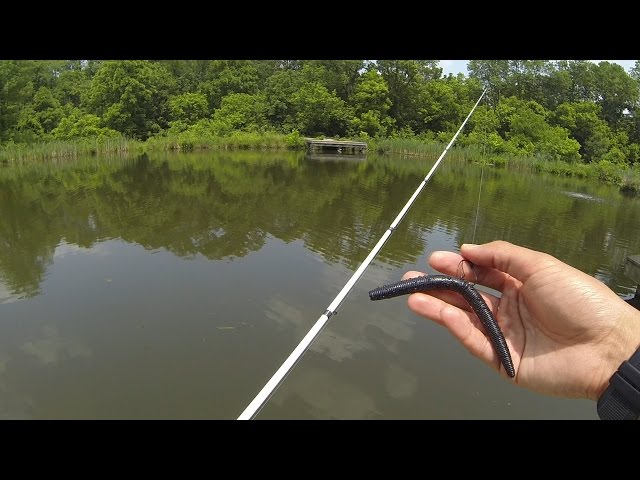 How To Fish a Senko for Bass by 1Rod1ReelFishing 