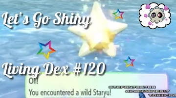 Shiny Staryu- Let