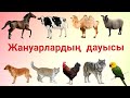 Жануарлардың дауыстары! Қазақша танымдық мультфильм!