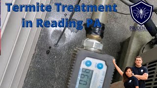Termite Treatment in Reading Pa