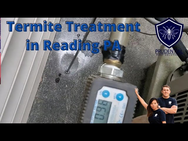 Termite Treatment in Reading Pa - YouTube
