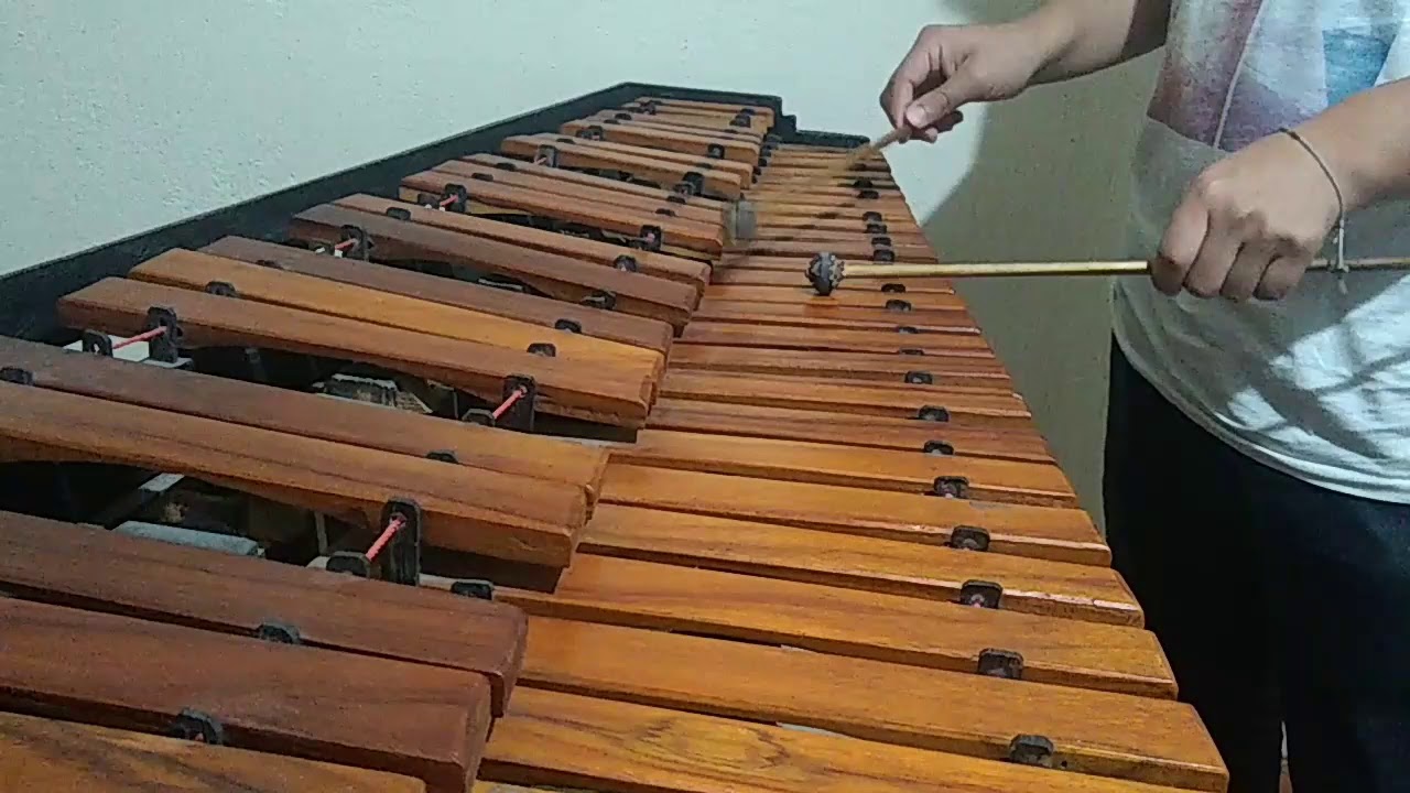 Melodía Rio PolochicDavid Fuentes/Marimba YouTube