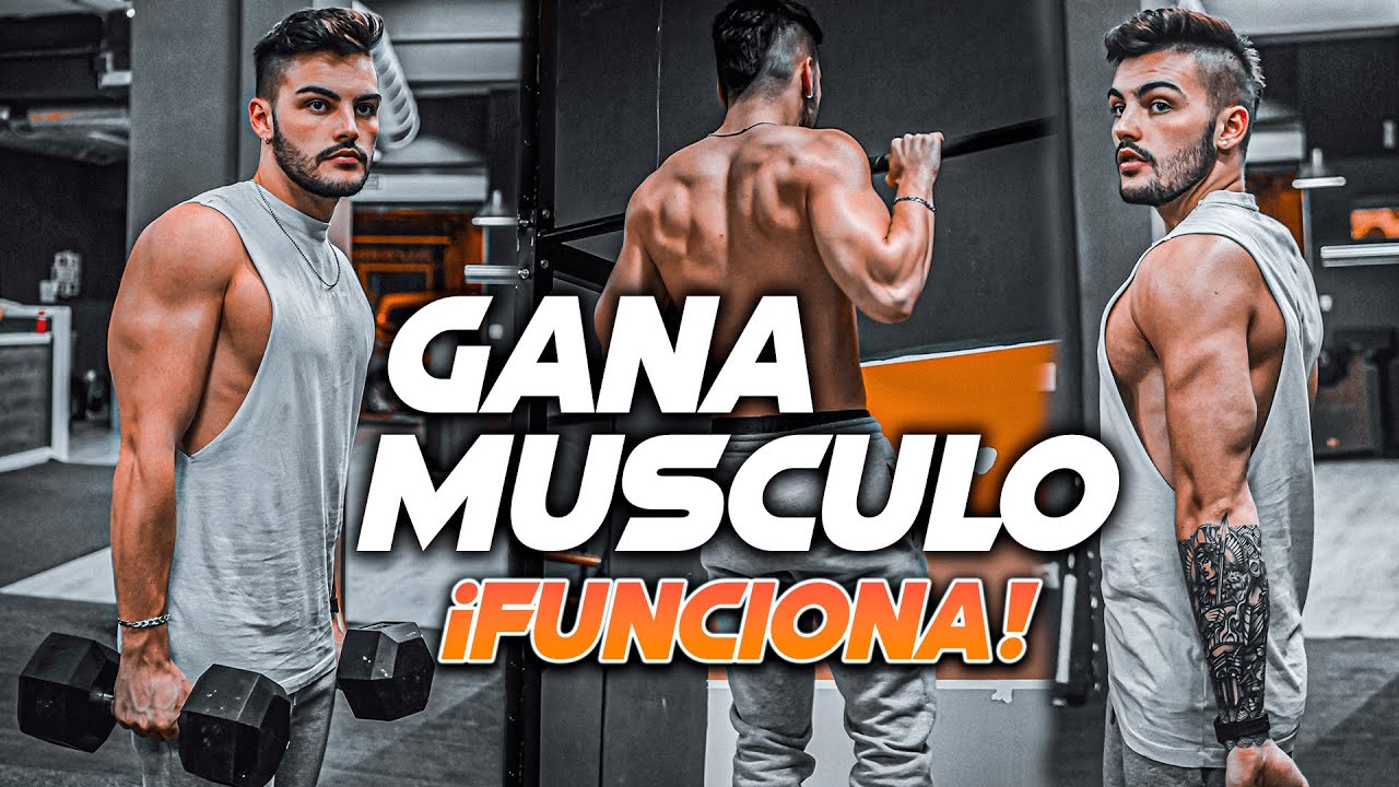 Mejor Rutina Gym 5 Dias Rutina de 5 Días para Aumentar Masa Muscular en el Gym 💥 (¡Máxima  Hipertrofia!) - YouTube