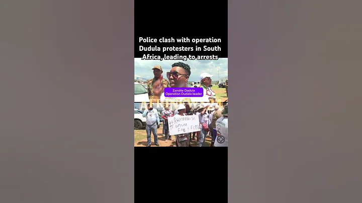 Police clash with Operation Dudula protesters in South Africa, leading to arrests #africa #news