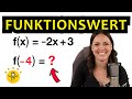 Funktionswerte berechnen – einfach erklärt
