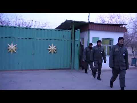 DeeNiSsa Mendirman Osha Cover