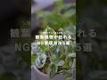 【初心者向け】観葉植物が枯れるNG管理方法5選 #観葉植物のある暮らし #観葉植物 #観葉植物インテリア #観葉植物初心者