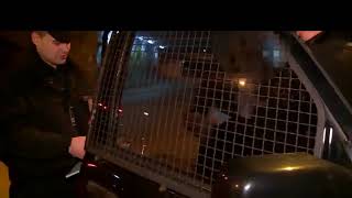 E,Niste Trebali Nemozete Dalje Upravljat-Mogu