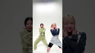 권민우 변호사, 로스쿨 시절 별명이 뭐였는지 알아? 🐨🐱 Come a so #Soñar 🌪#NMIXX #LILY #KYUJIN #Soñar #Soñar_Challenge