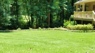 Arbor-Nomics How To Manage Zoysia Gr