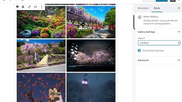 Meow Gallery + Gallery Block (Gutenberg Editor)