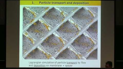 Cristian Picioreanu | Plenary Lecture 17: Modeling biofilm formation in porous media and fo...