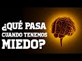 😨 ¿QUÉ PASA EN NUESTRO CEREBRO CUANDO TENEMOS MIEDO? | En 1 minuto