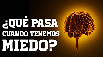 ¿Qué le hace el miedo al cerebro?