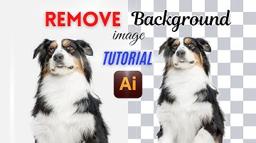 How to Remove Background Using Adobe Illustrator 📍📌🎨