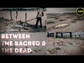 Nameless:The Corpses of Ganga |How India's Holiest River Became A Mass Graveyard |Mojo Investigation