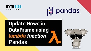 Update Rows in a DataFrame using Lambda #pandas #python #jupyternotebook #lambdaexpression