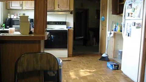 Watch the video about F1 Black Chausie Playing Fetch