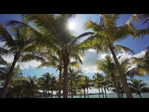 Experience Miami in 60 Seconds