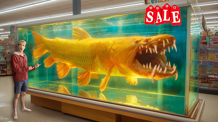 I Bought One of the Rarest Fish in the World...