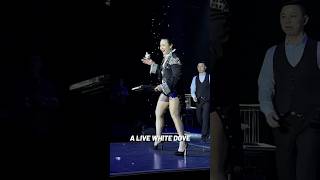 How A Dove Appears From A Balloon Magic Trick Explained