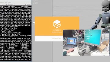 Control and record icubSim