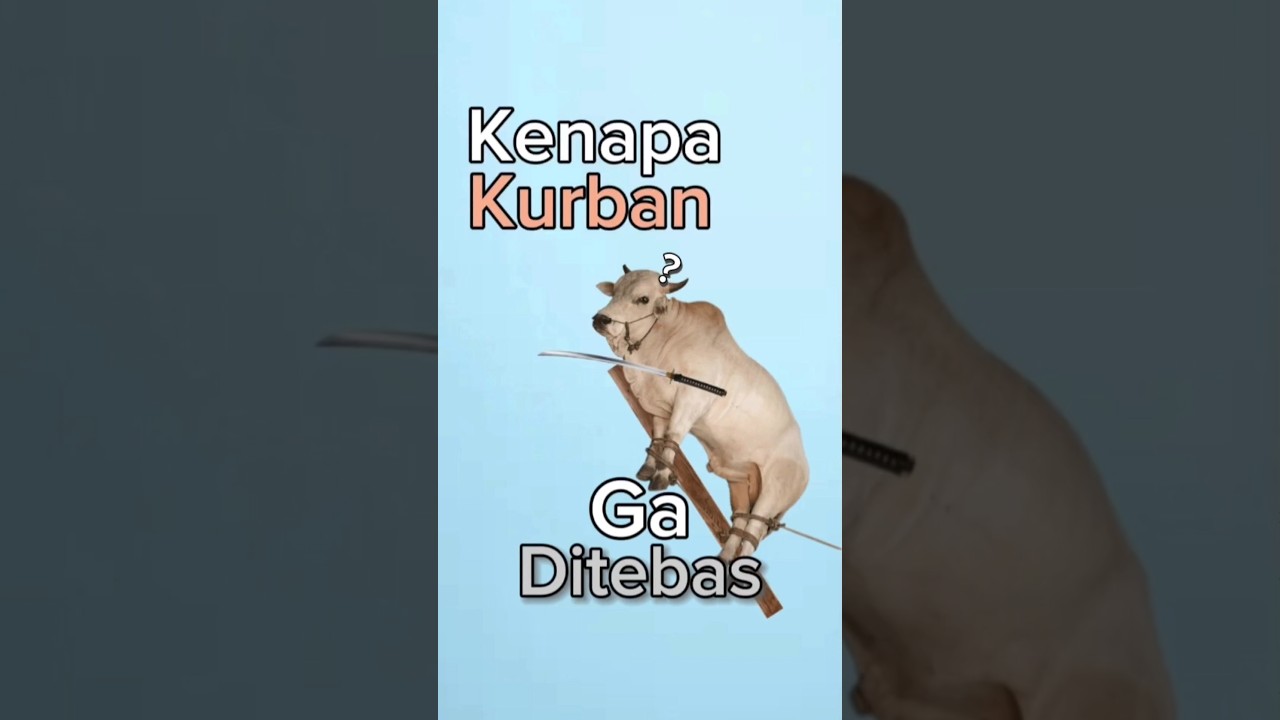 Kenapa Hewan Kurban Ga Ditebas Aja?🤔🗡️🐄