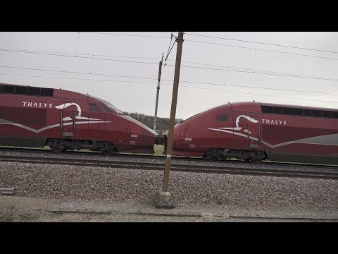 Vídeo: Diferença Entre Thalys E TGV
