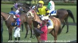 20160720 Greyville Race 8 won by ALZERRA