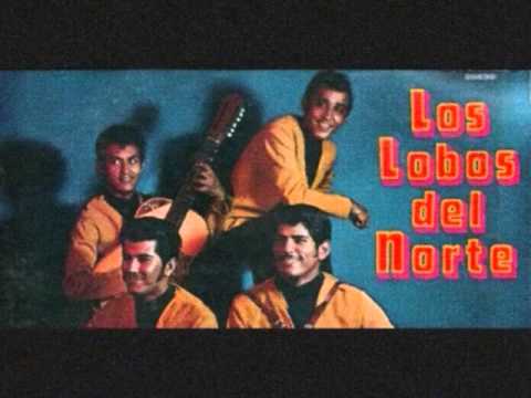 Quisiera Amarte Menos Los Lobos Del Norte y Memo Lugo