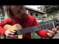 Dodo's delight guitar tutorial