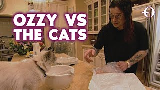 Ozzy vs The Cats | The Osbournes TV
