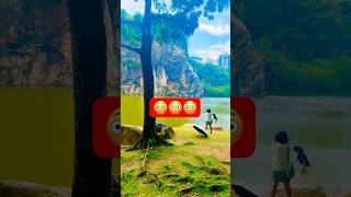 Amazing shorts #foryou #shorts #nature #trendingsong