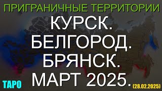 : . . .  2025. (. 28.02.2025)