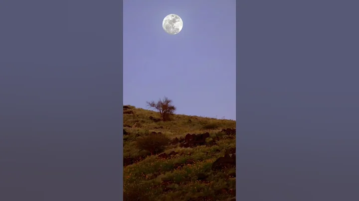 🌖SUPER MOON 😱 #Shorts - DayDayNews