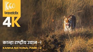 कान्हा राष्ट्रीय उद्यान - भाग २ | Kanha National Park Ep 2 - Khatia Gate, Feb 2021 | 4K Video
