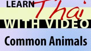 Learn Thai with Video - Common Animals