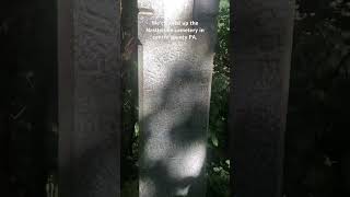 Watch the full video🪦/ #cemetery #cemeteries #grave #graves #dead #cleaning