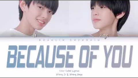 Because of you cover by ZHANG JI and ZEYU