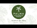 Palma Inicio de Obra - Octubre 2019