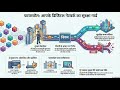 What is a Firewall and why is it important?