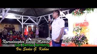 Lagu Karo  Ngerudangken Bunga Mpalas. Vokal Sades Glory Kaban Cipt. Ramses Sembiring.