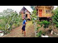 OFF-GRID Living in a Tropical Paradise Ep 78