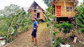 OFF-GRID Living In A Tropical Paradise Ep 78 OFF-GRID Living In A Tropical Paradise Ep 78