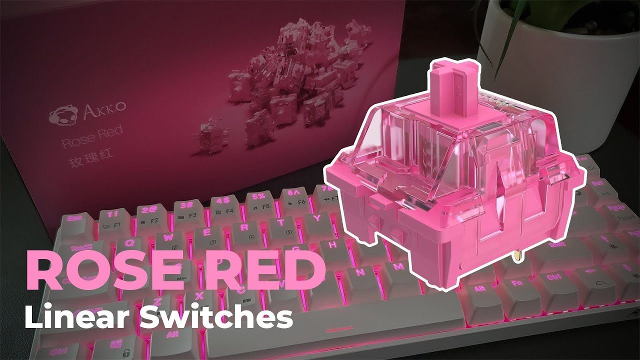 Akko CS Rose Red Switches Unboxing, Sound & Typing Test YouTube